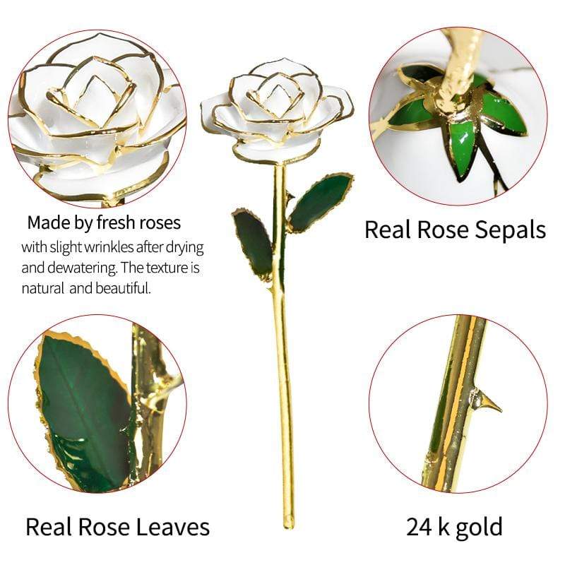 Eternal Rose Dipped in 24k Gold
