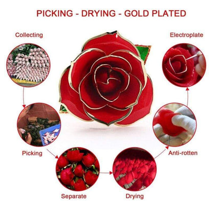 Eternal Rose Dipped in 24k Gold