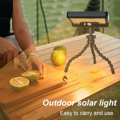 Solar-Powered Security Light with Rotatable Head