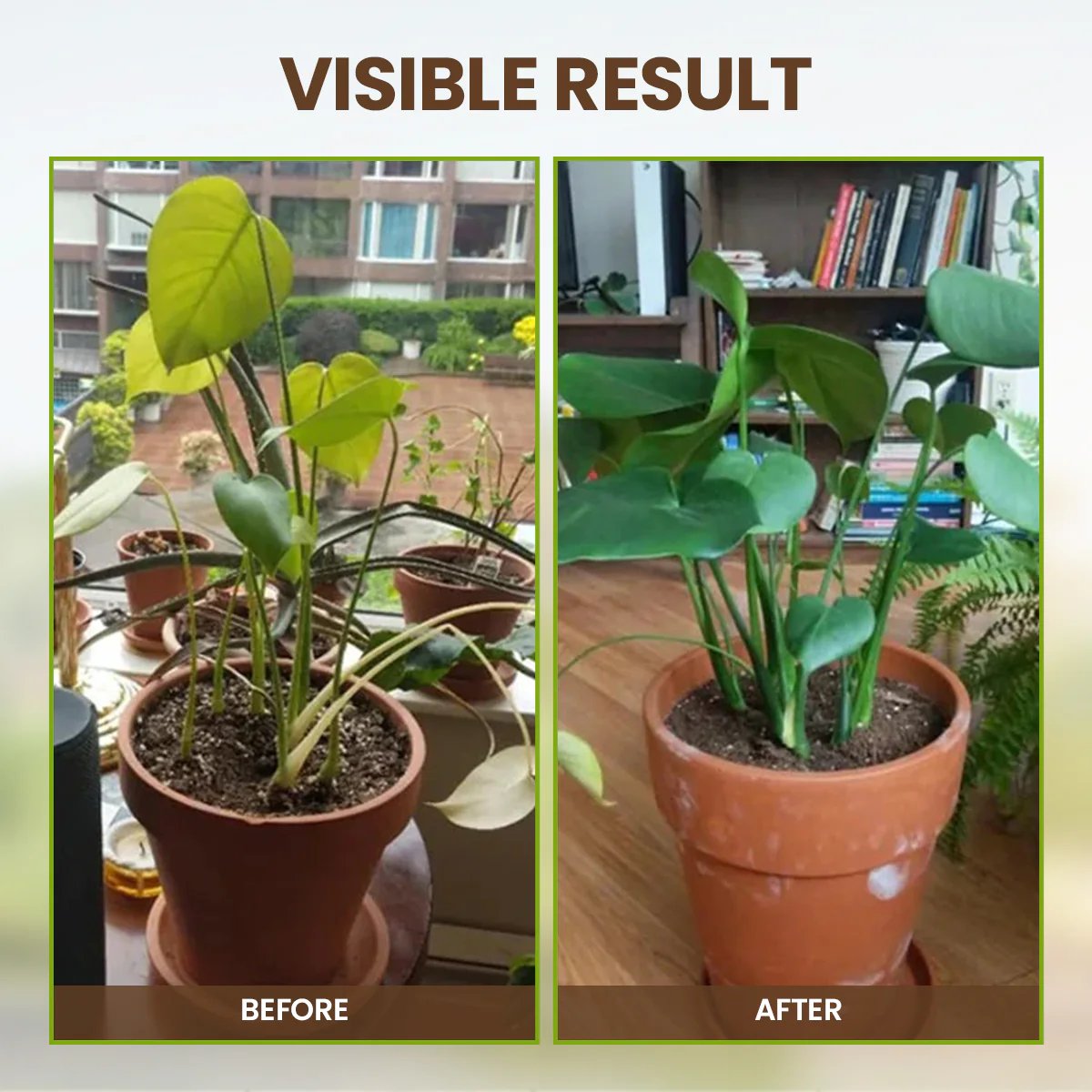 Nutrient Booster 60g | Enhances Root Growth & Nutrient Uptake | Ideal for Garden and Potted Plants