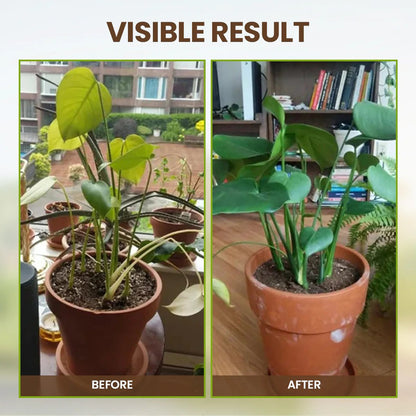 Nutrient Booster 60g | Enhances Root Growth & Nutrient Uptake | Ideal for Garden and Potted Plants