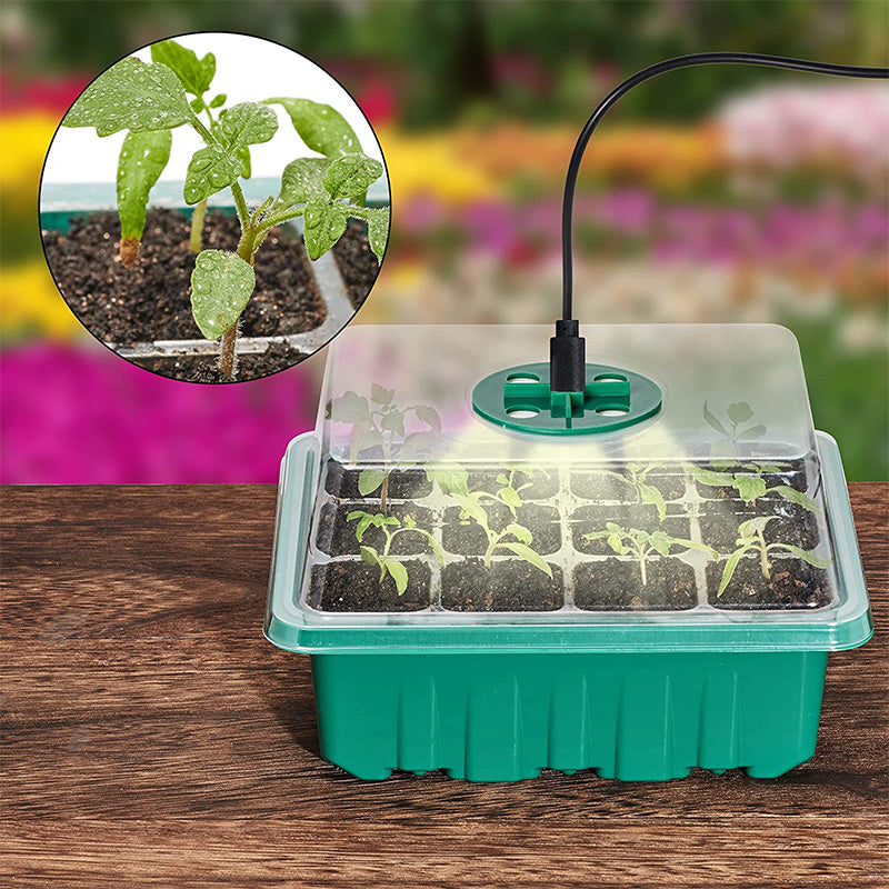 Quick and Robust Seedlings with Ideal Light and Moisture