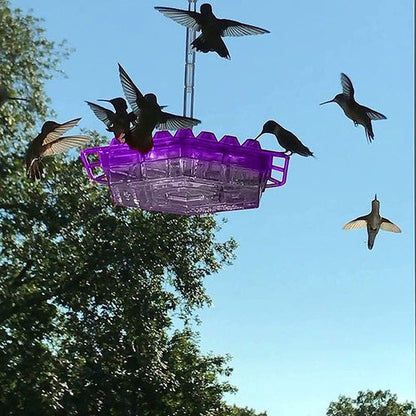 Outdoor Hanging Feeder for Hummingbirds – Ant-Resistant with Multi-Port Tray