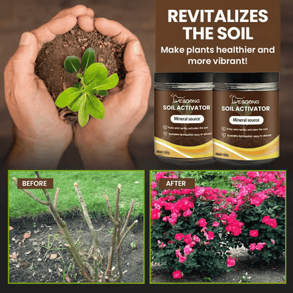Nutrient Booster 60g | Enhances Root Growth & Nutrient Uptake | Ideal for Garden and Potted Plants