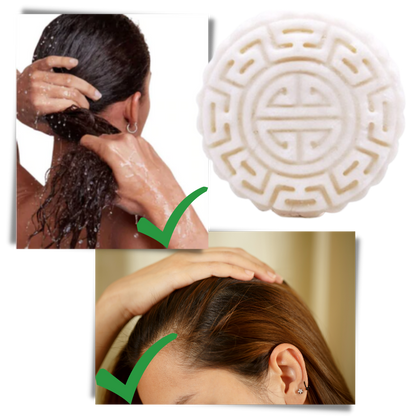 Solid Shampoo and Conditioner Bar for Stubborn Hair