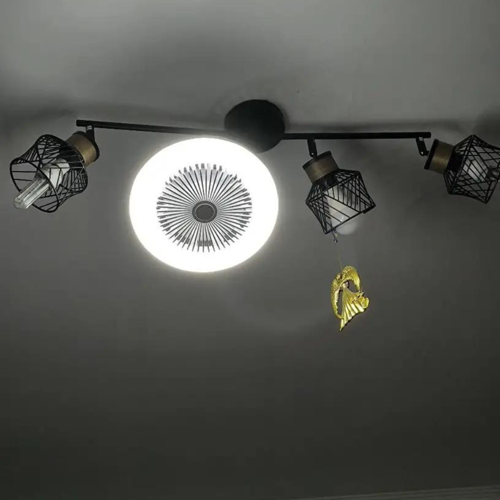 Bulb Fan for Aromatherapy Use