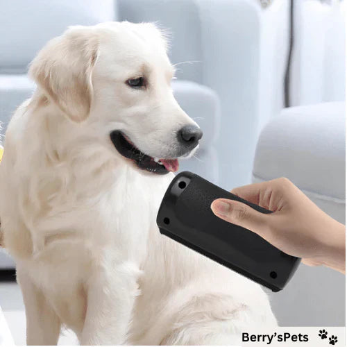 Effortless Pet Hair Removal for a Cleaner Home