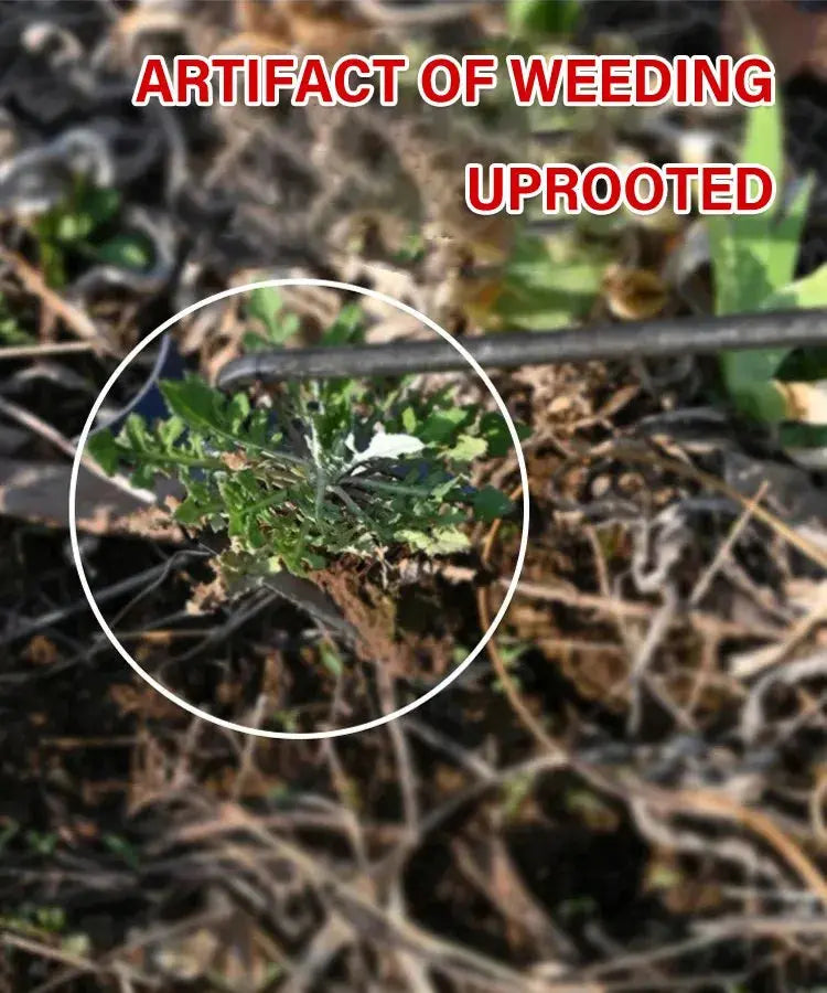 Weed Removal Tool - Your Essential Solution for Garden Weeds