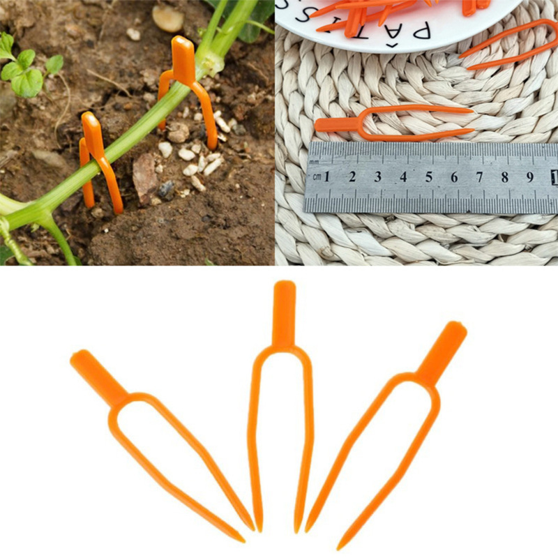 25+25 FREE | EcoStretch - Keep Plants Upright and Healthy All Season