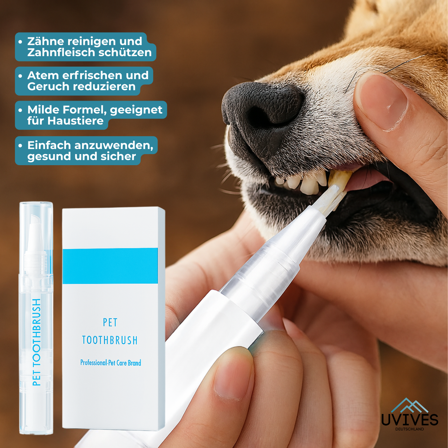 Buy One Get One Free | Easy Pet Dental Care Solution