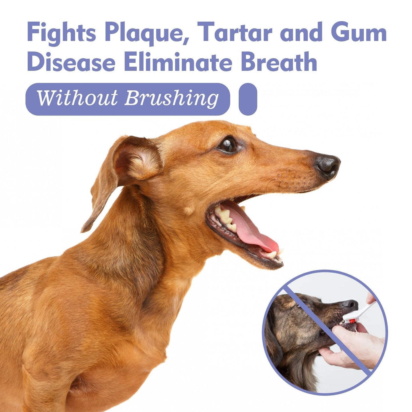 Revitalizing Spray for Pet Fresh Breath