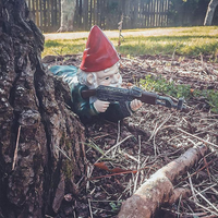 Camouflage Dwarf C