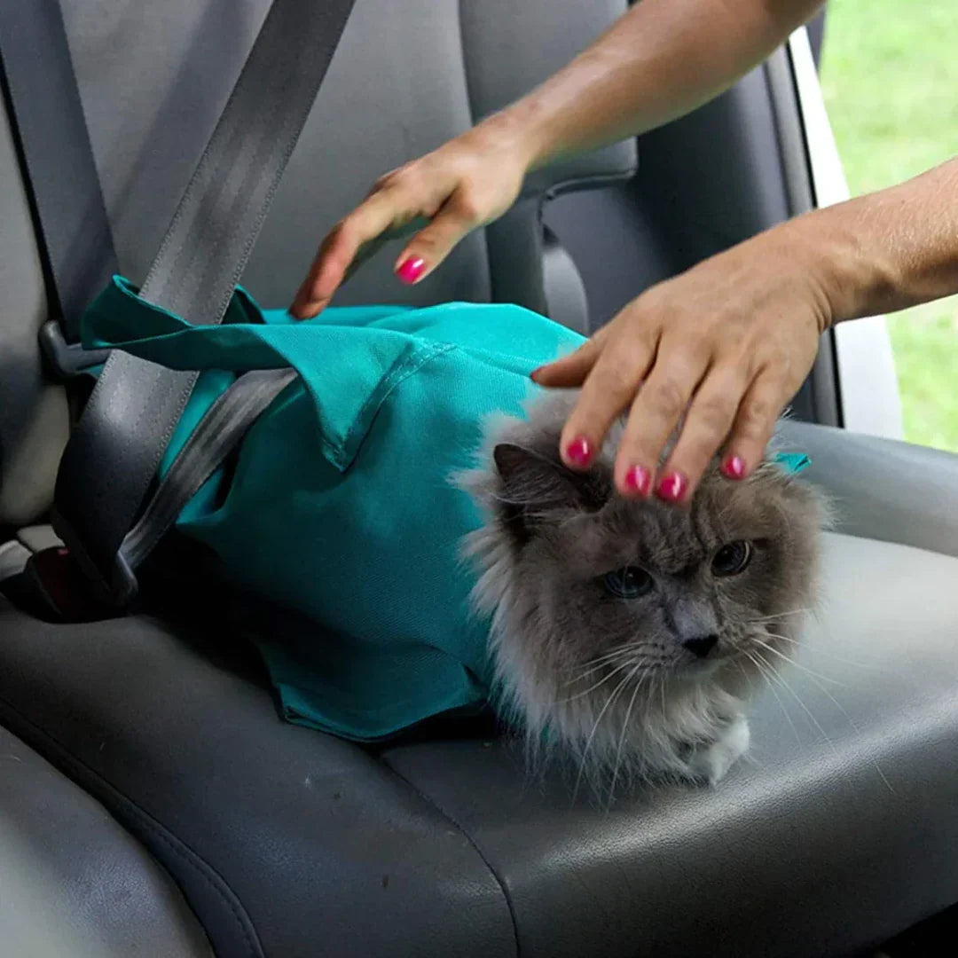 Travel and Care Bag for Cats