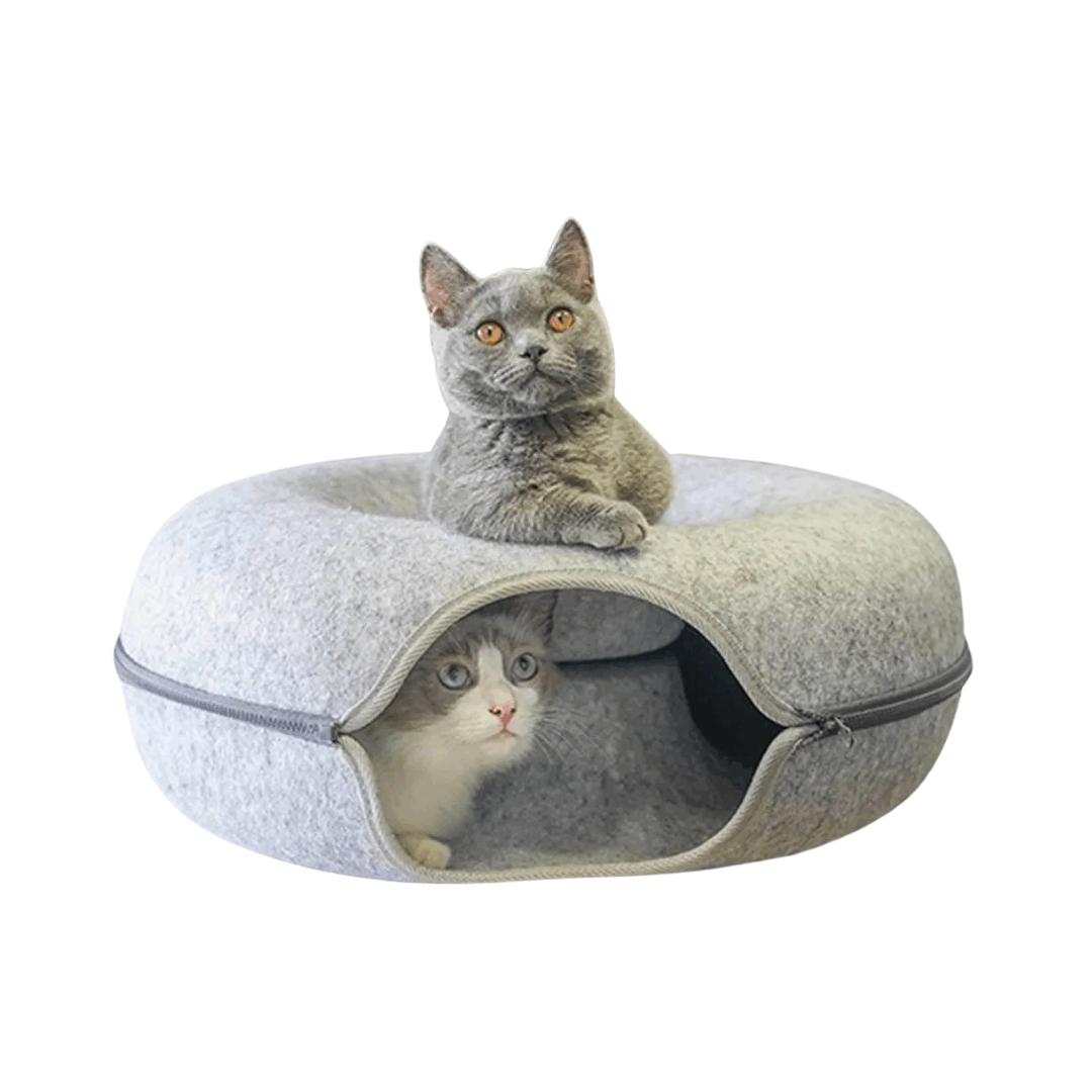 Cat Tunnel and Playhouse - PawDonut Design