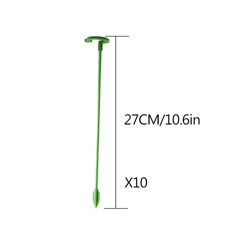 Elegant Stem Support for Thriving Plants