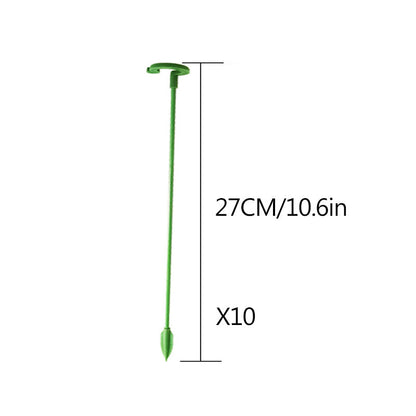 Elegant Stem Support for Thriving Plants