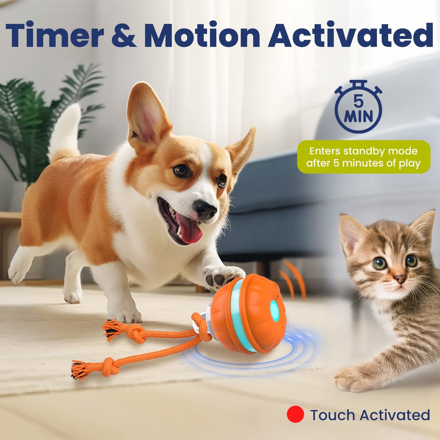 PawiBall – Keep Your Dog Happy and Engaged!