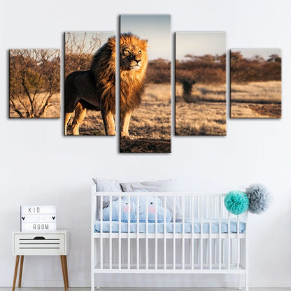 Majestic Lion in Sunlight - 5 Piece Canvas Art Set