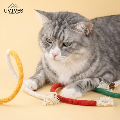 Get 3 Extra Free | Enhance Cat Health and End Boredom