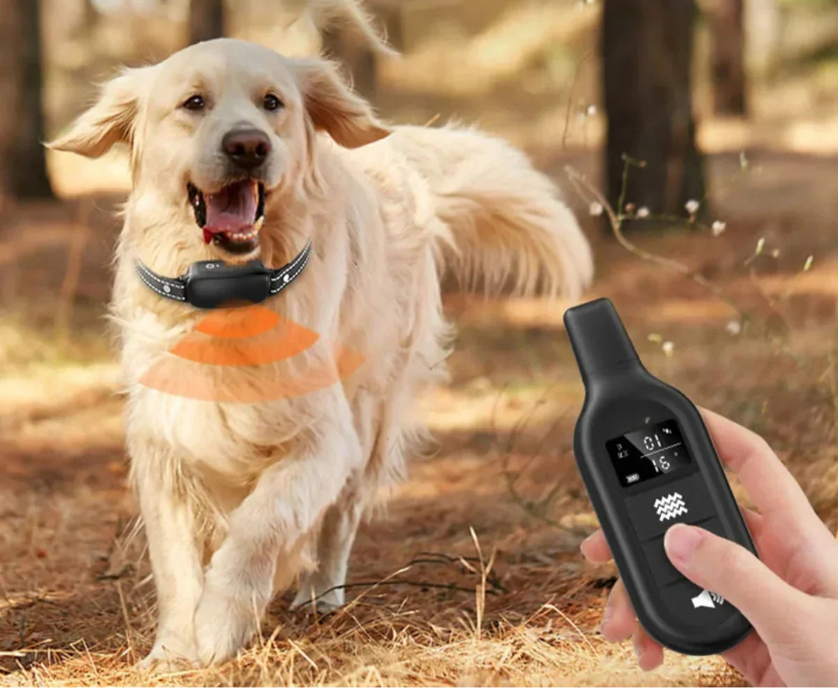 Waterproof Remote Control Electronic Training Collar for Dogs