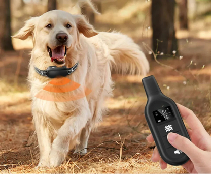 Waterproof Remote Control Electronic Training Collar for Dogs