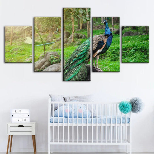 5-Piece Radiant Peacock Canvas Art Set