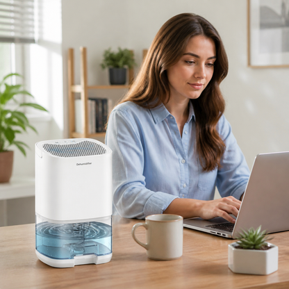 Whisper-Quiet Dual Action Humidity Controller & Air Cleaner
