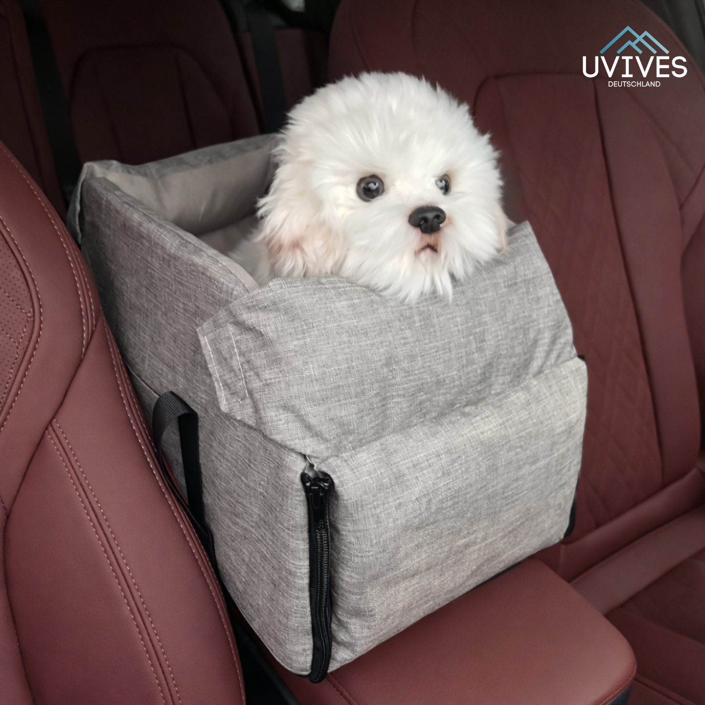 Keep Small Pets Safe and Calm During Every Car Ride