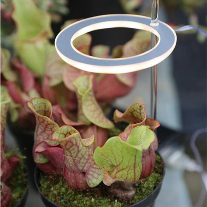 Indoor Plant Growth Light – Last Day Discount