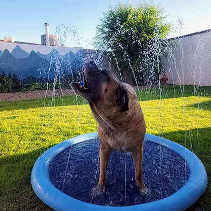 DogSplash - Long-lasting Fun for Your Canine Friend!