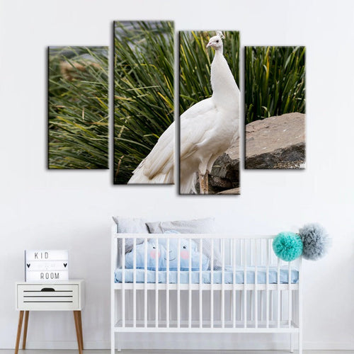 Serene Snowy Peacock - 4 Piece Canvas Art Set