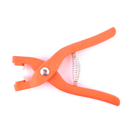 Five-Point Fastening Toolkit for Effortless Projects