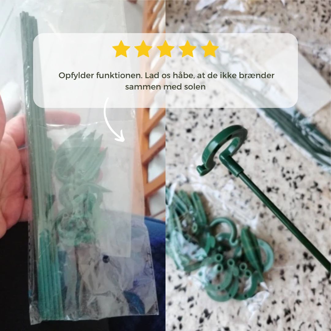 Elegant Stem Support for Thriving Plants