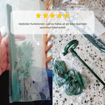 Elegant Stem Support for Thriving Plants