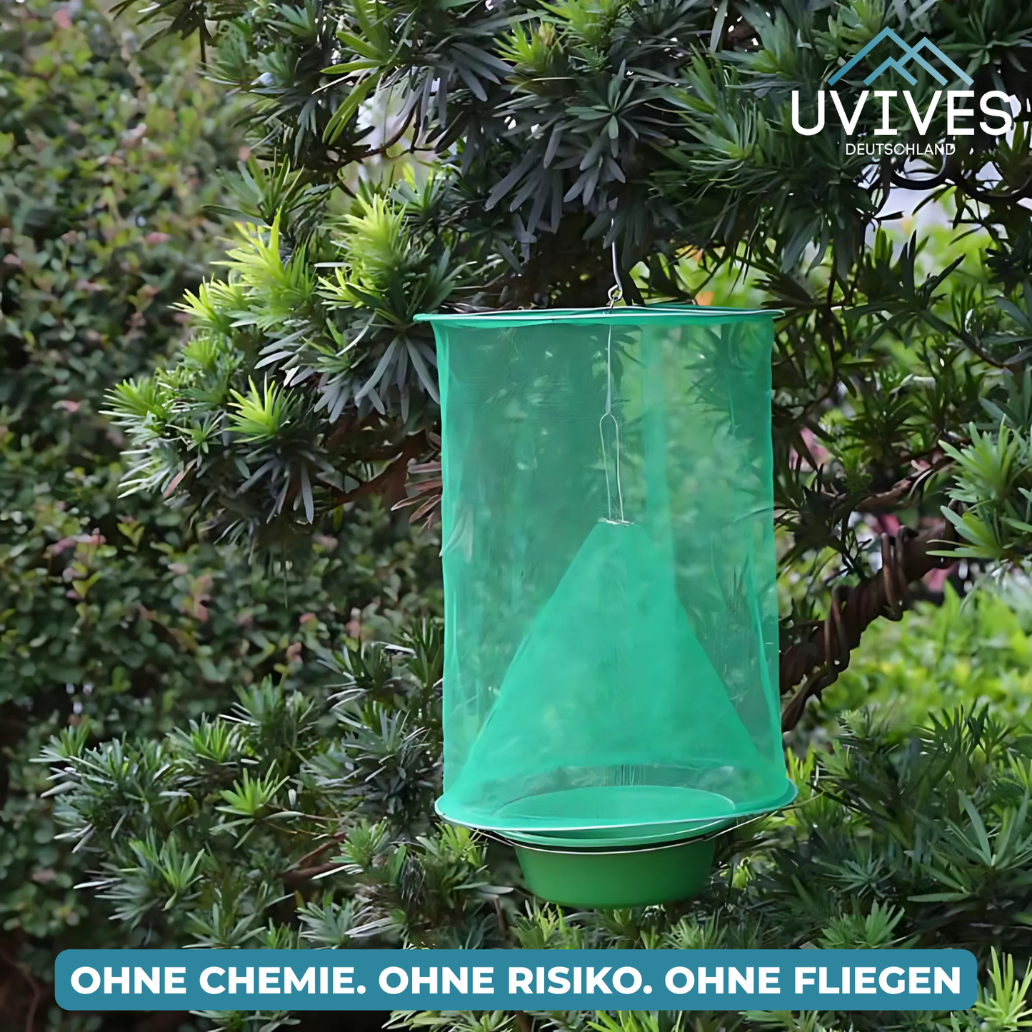 Fly Trap – Say Goodbye to Flies in Home and Garden