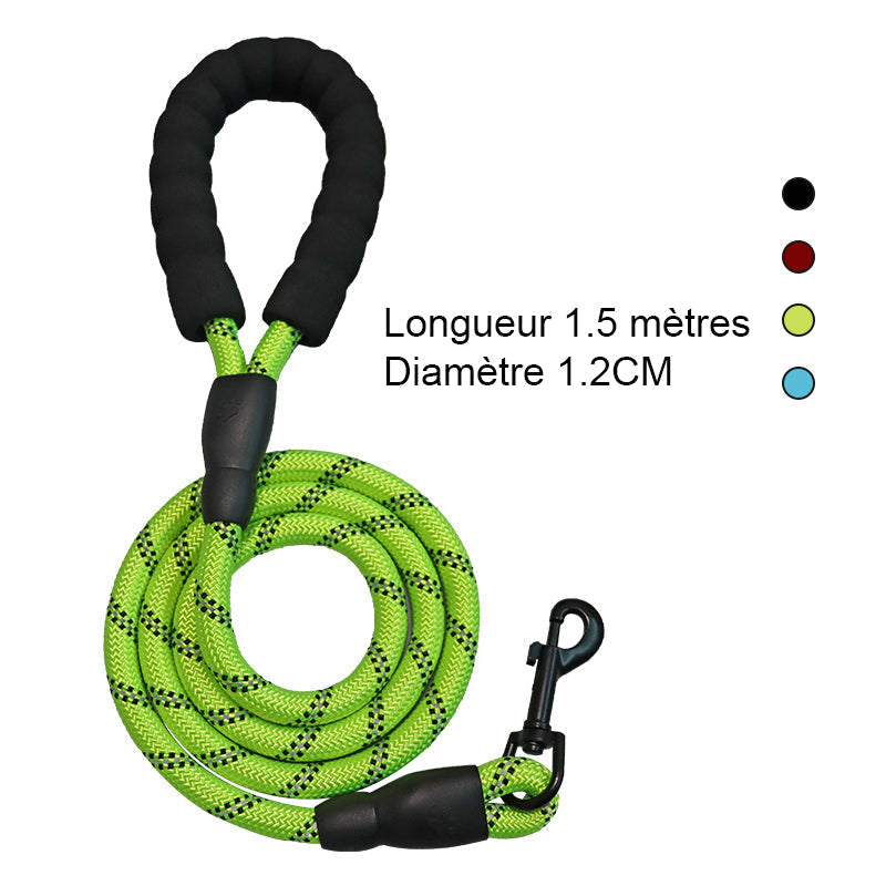Ultimate 3-in-1 Dog Walking Solution | PupEase
