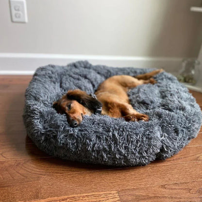 Dog Bed for Relaxation and Comfort