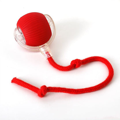 Interactive Indoor Cat Toy with Tail Movement for Playtime
