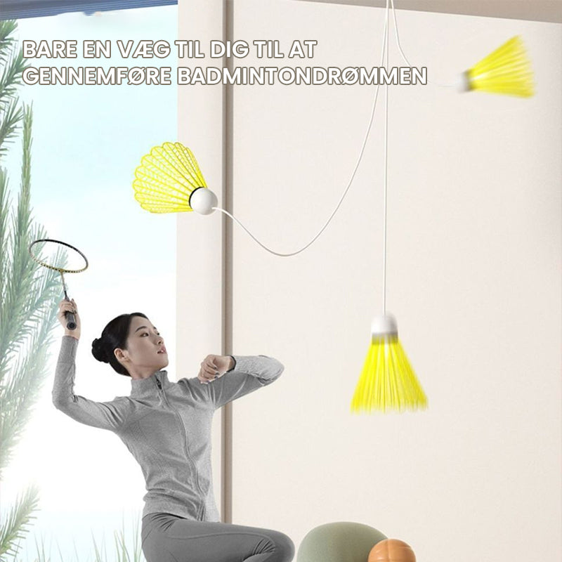 Rebound Badminton Trainer for Solo Practice
