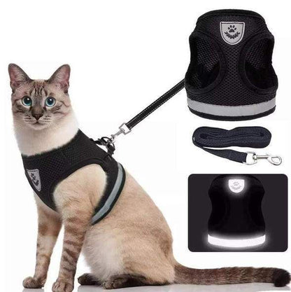 Adjustable, Breathable, Light-Up Cat Harness