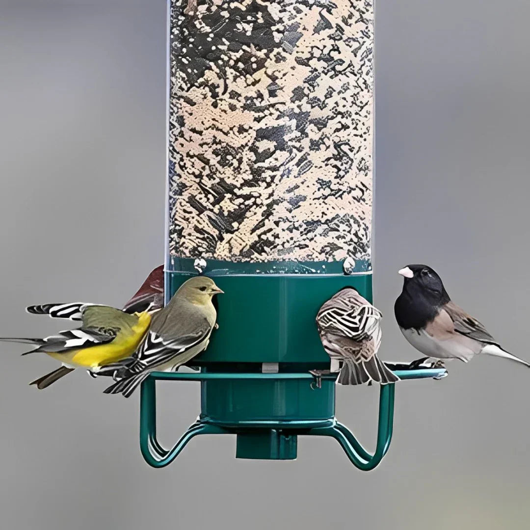 Squirrel-Proof Hanging Bird Feeder for Garden with Rotating Perch