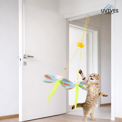 Buy One Get One Free | Ignite Your Cat's Energy and End Boredom Now