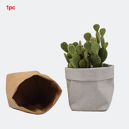 Collection of Eco-Friendly Decorative Planters