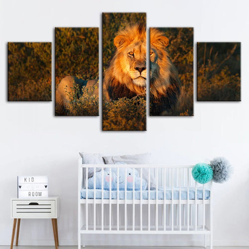 Majestic Lion Canvas Art Set - 5 Pieces for Home Decor