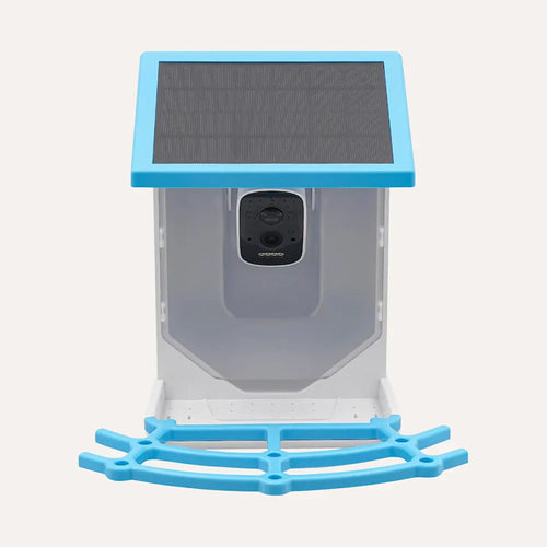 Smart Bird Feeder – Experience Nature Like Never Before