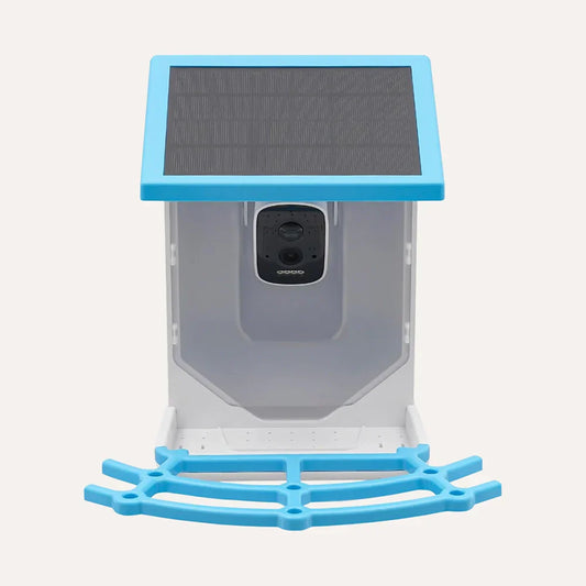 Smart Bird Feeder – Experience Nature Like Never Before