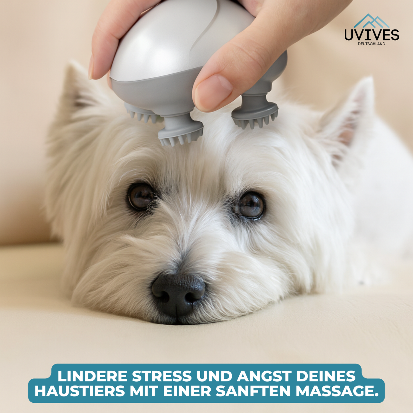 Relaxation Solutions for Cats That Your Feline Will Adore!