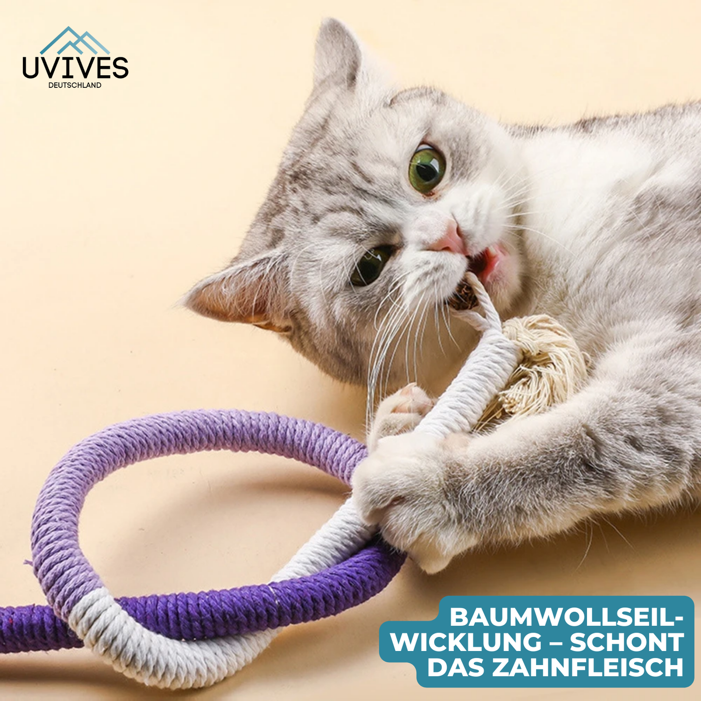 Keep Your Cat Happy and Active while Maintaining Dental Health