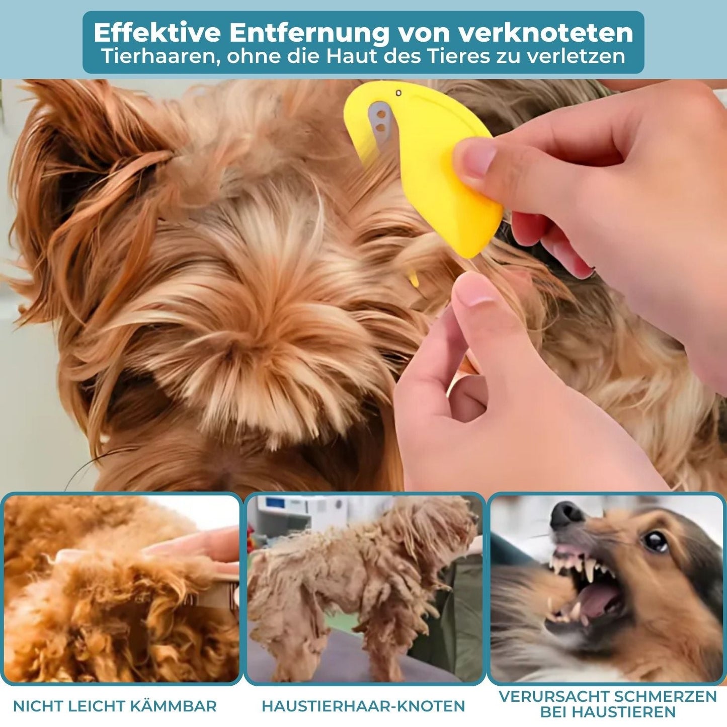 Safe and Effective Flea Remover for Cats and Dogs - Last Day Discount
