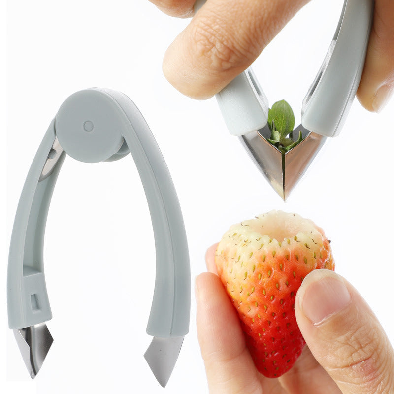 Multi-Purpose Fruit Tweezers for Seed Removal